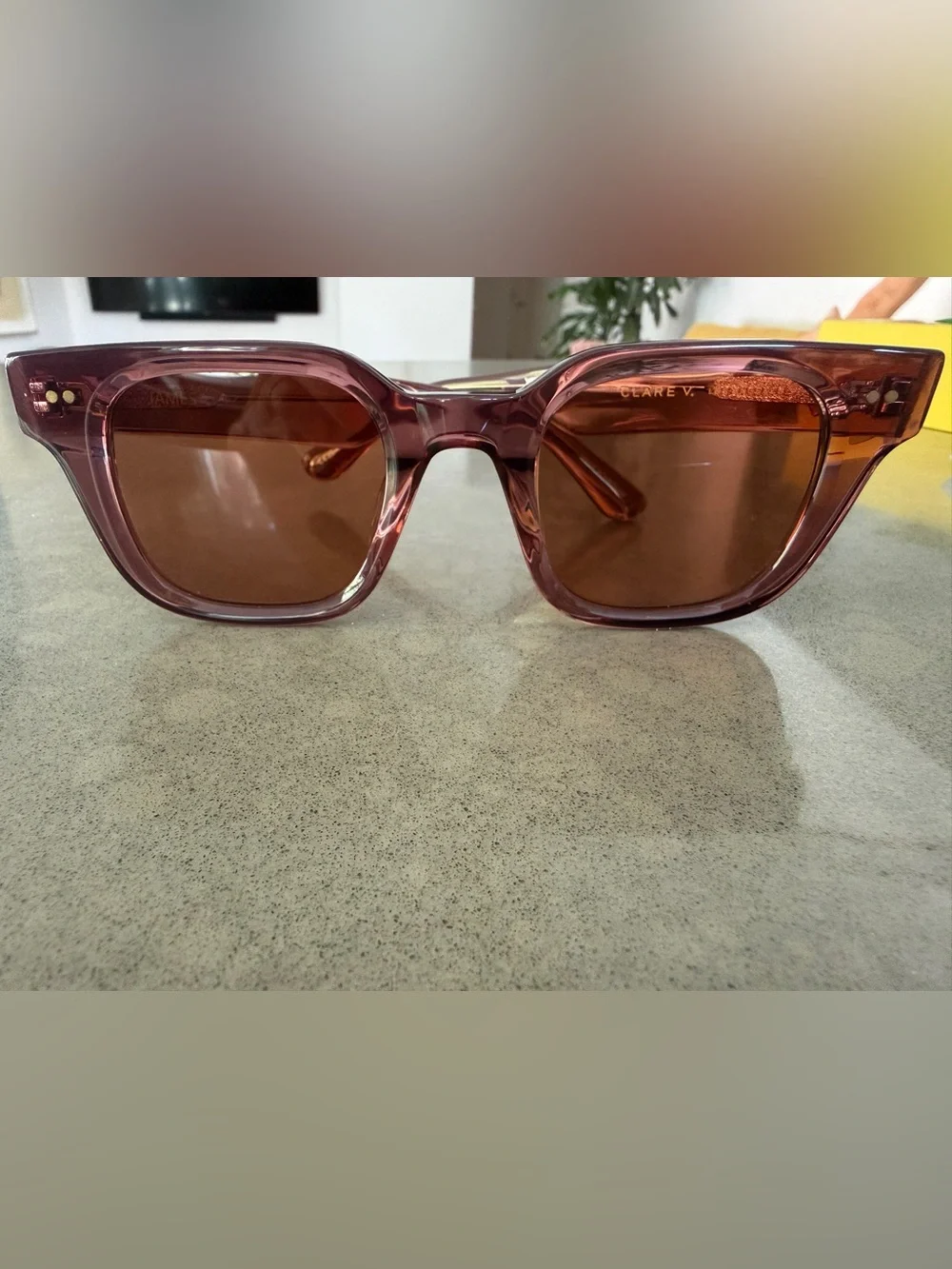 Clare V James Classic Unisex Sunglasses in Plummy